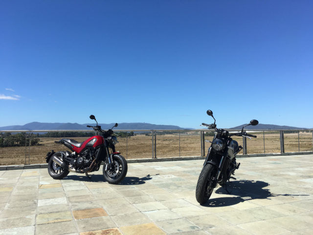Benelli Leoncino 1
