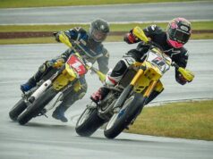Davey todd nzsbk nz