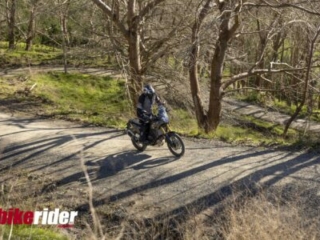 2025 Yamaha T&eacute;n&eacute;r&eacute; 700 road action