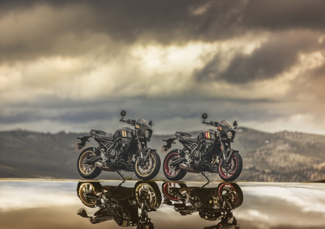 Suzuki GSX-8T & 8TT