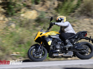 Tiger-Sport-800_MY25_action road