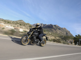 Honda Hornet CB1000 review action road