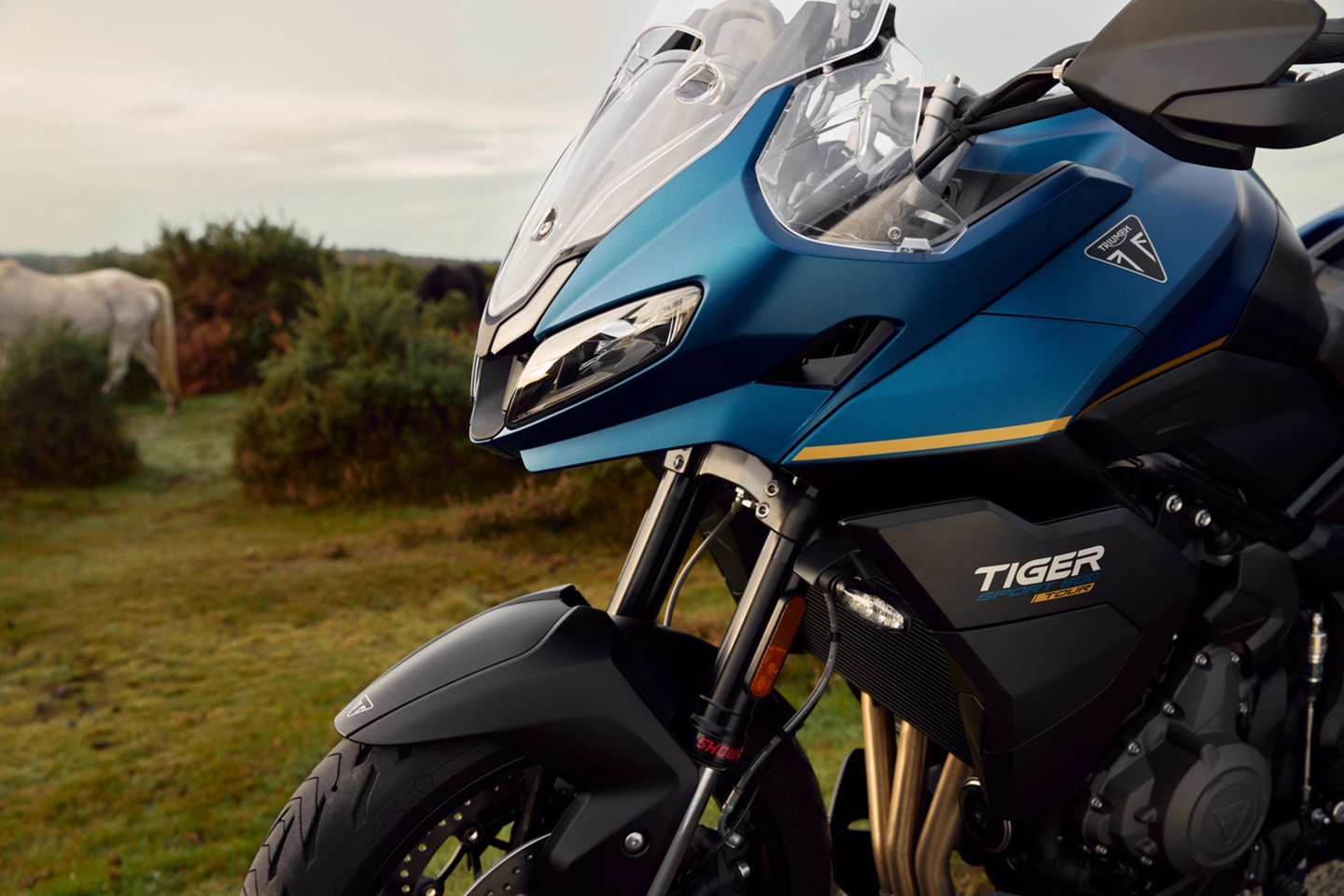 Triumph Tiger Sport 800 Tour
