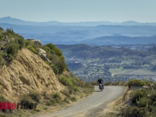 2026 Triumph Scrambler 900