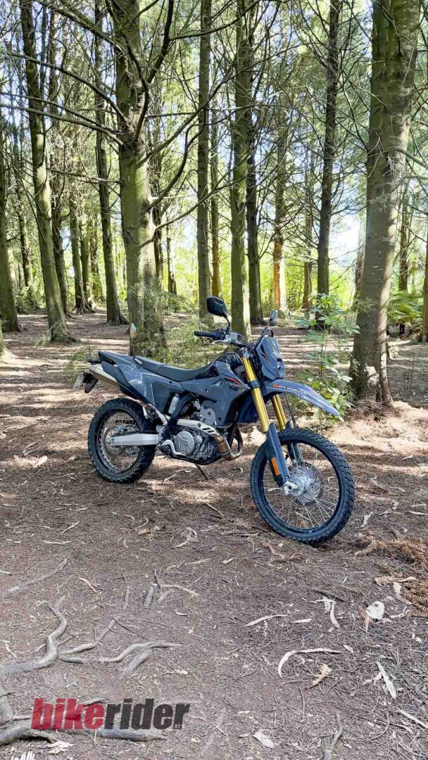 Suzuki DR-Z4S forest
