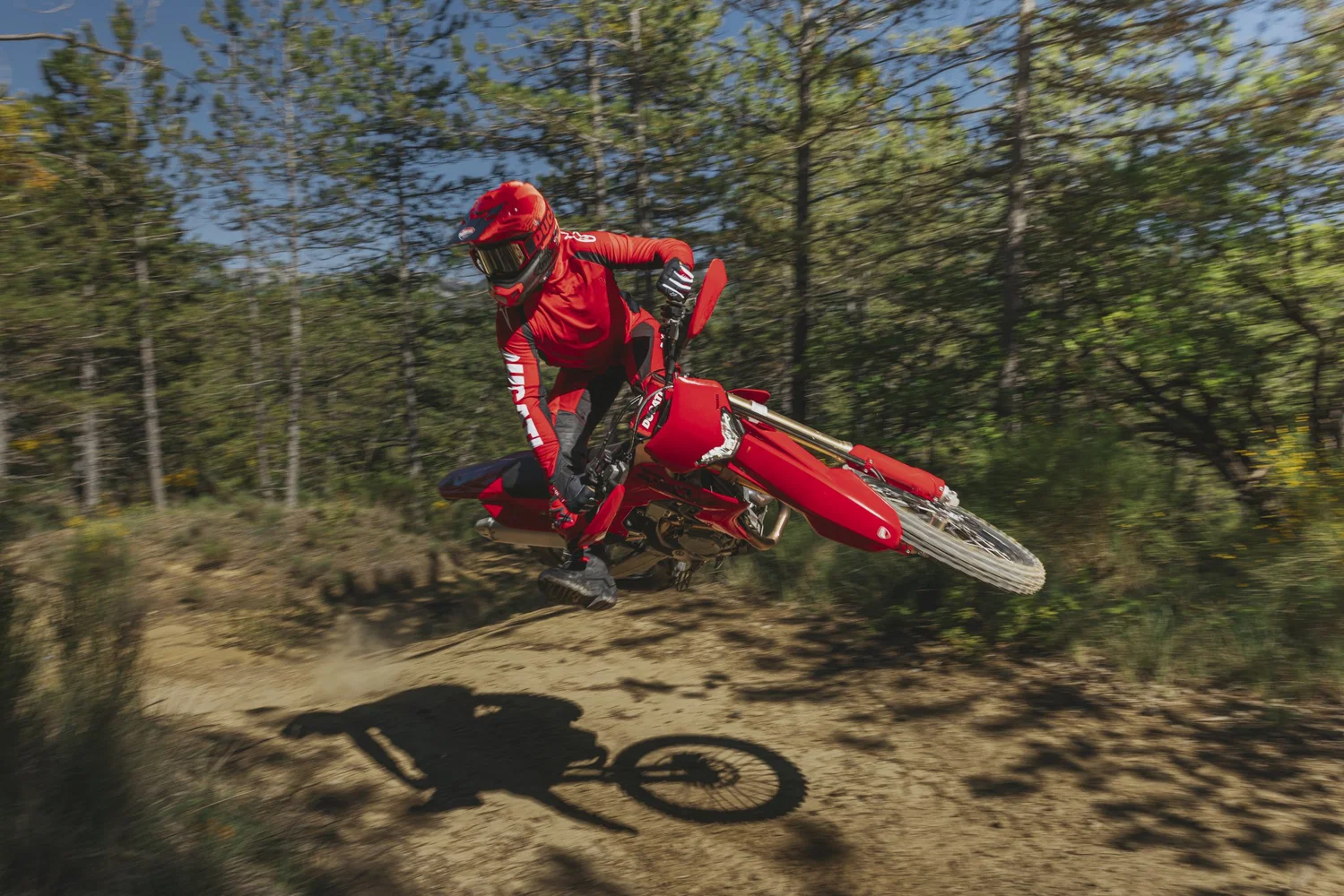 Desmo450 EDS