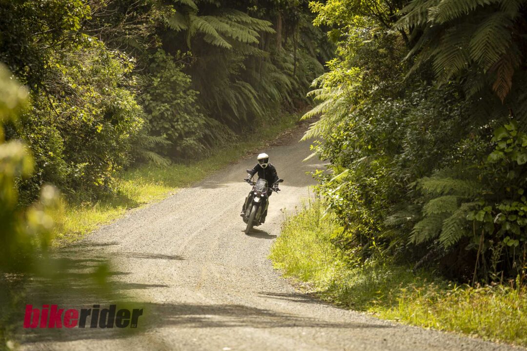 Motorcyclist wearing a helmet rides a gravel forest road flanked by dense green foliage and ferns.