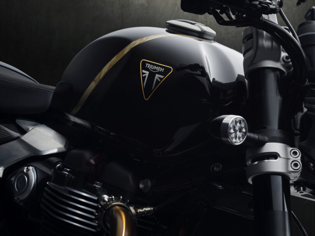 Close-up of a black Triumph motorcycle fuel tank with a gold stripe and emblem