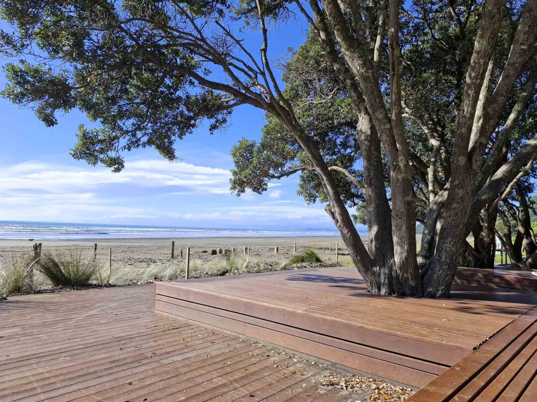 beach nz